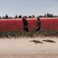 two people jumping in front of a field of red tulips