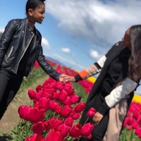 two women holding hands in a field of tulips